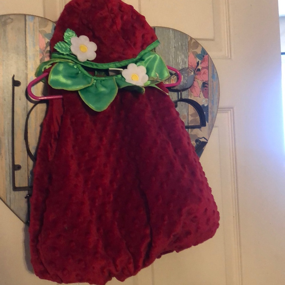 Strawberry costume 6-9month